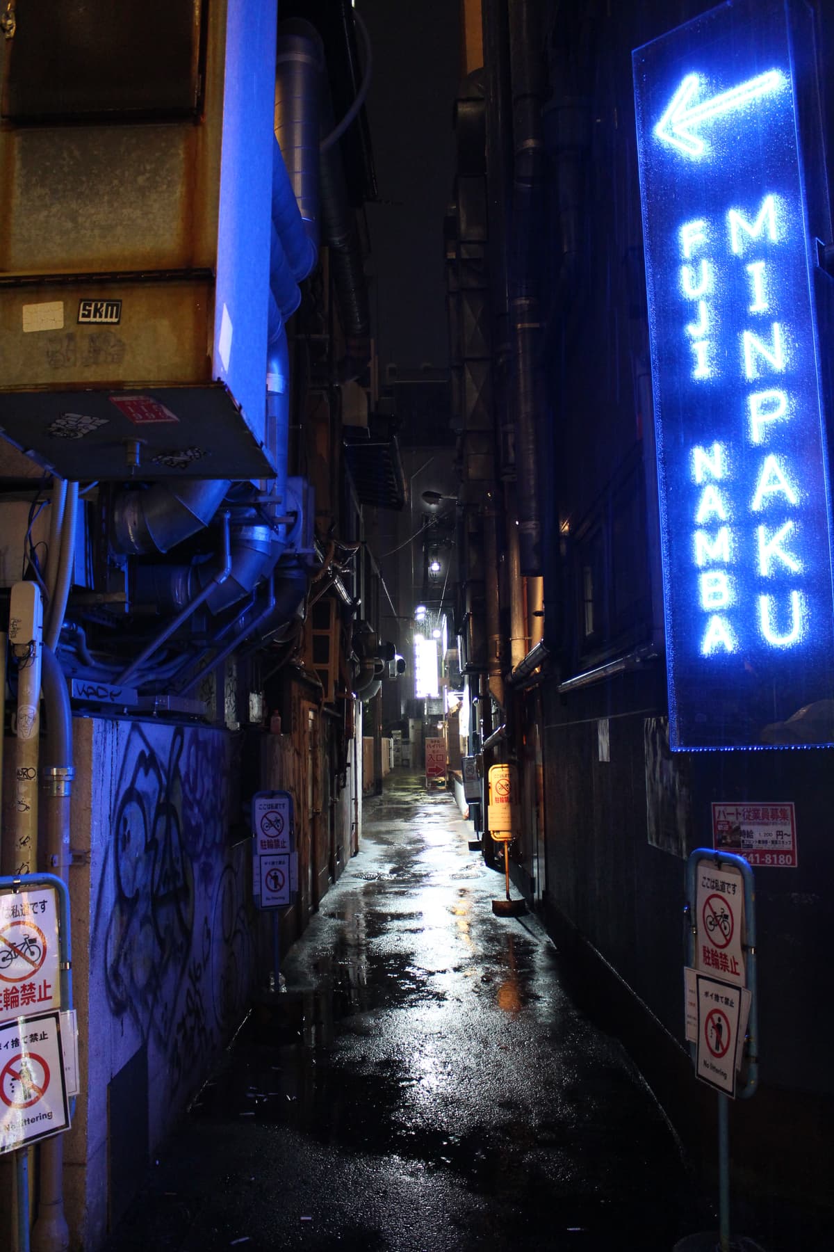 Japan Panorama